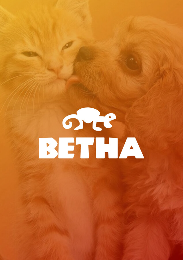 Акции магазина «Ветна» Акции магазина «Ветна»